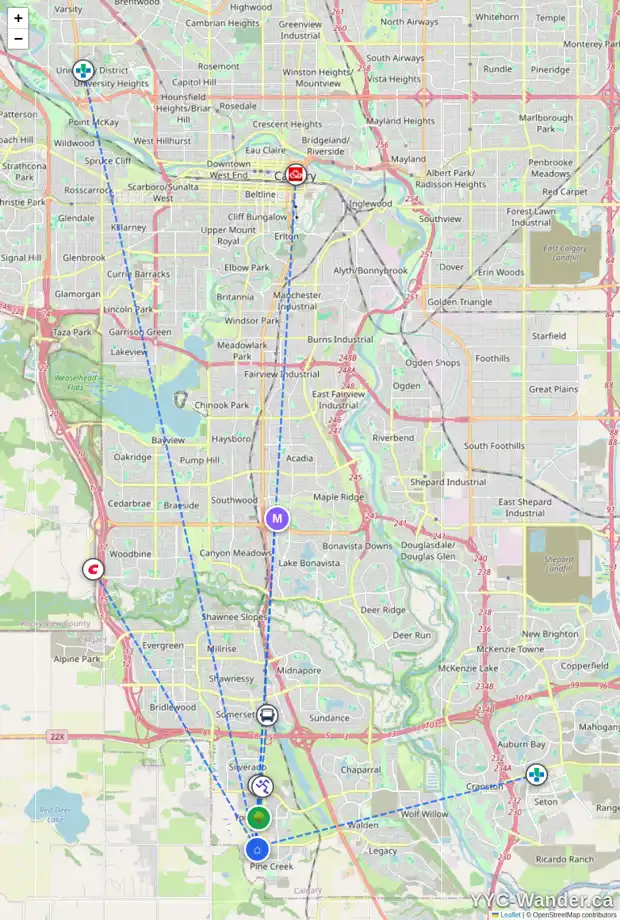 Daily accessibility map for 125 CREEKSIDE WY SW, Calgary showing nearby schools, grocery stores, parks, LRT stations and nearby amenities