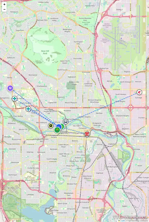 Daily accessibility map for 105 17 13 ST NW, Calgary showing nearby schools, grocery stores, parks, LRT stations and nearby amenities