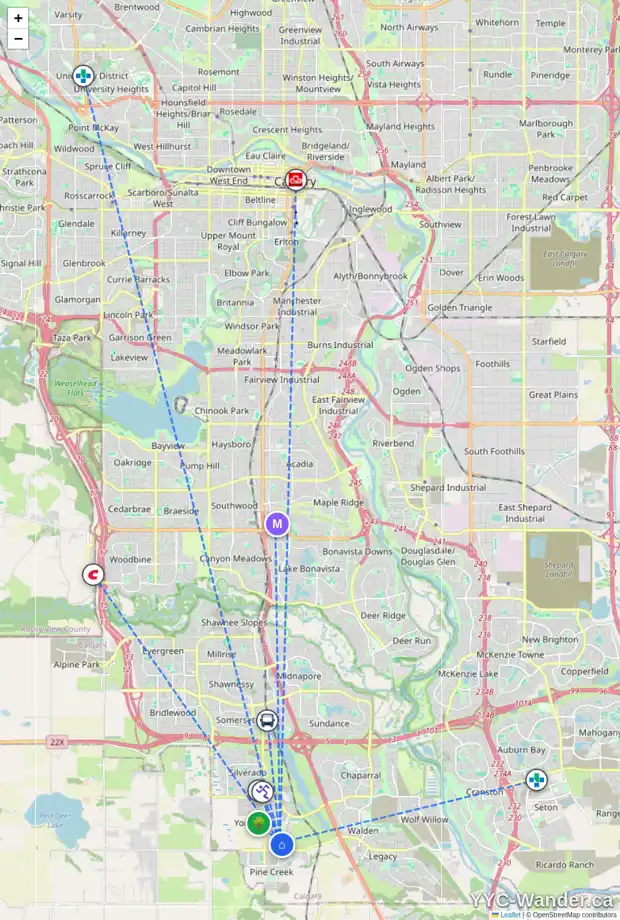 Daily accessibility map for 389 BELMONT AV SW, Calgary showing nearby schools, grocery stores, parks, LRT stations and nearby amenities