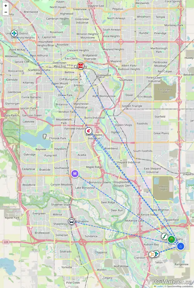 Daily accessibility map for 209 MAGNOLIA MR SE, Calgary showing nearby schools, grocery stores, parks, LRT stations and nearby amenities