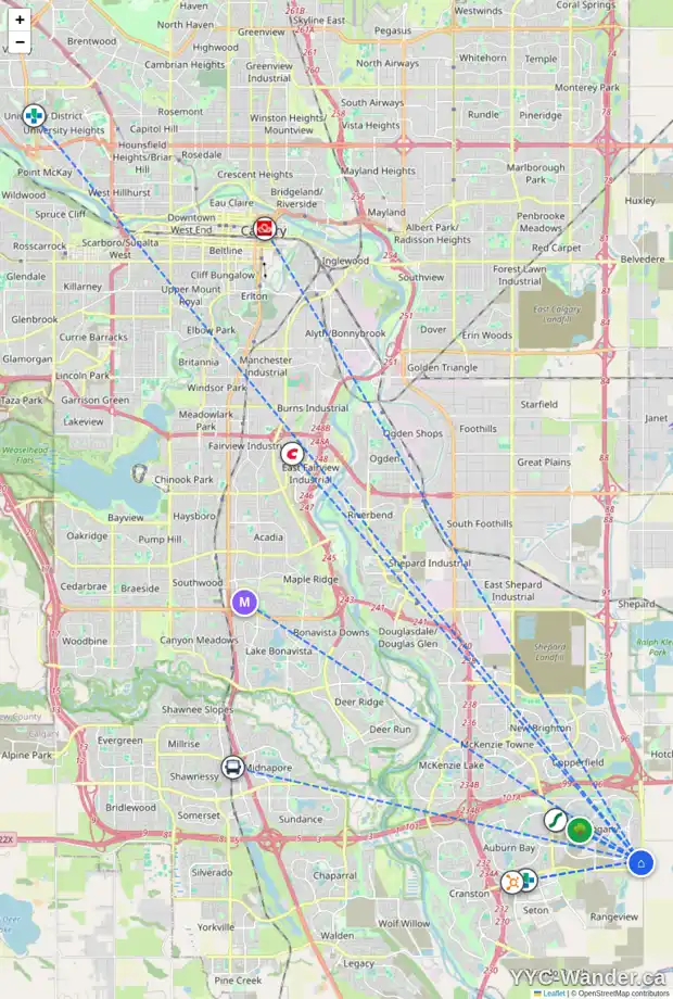 Daily accessibility map for 250 MAGNOLIA WY SE, Calgary showing nearby schools, grocery stores, parks, LRT stations and nearby amenities