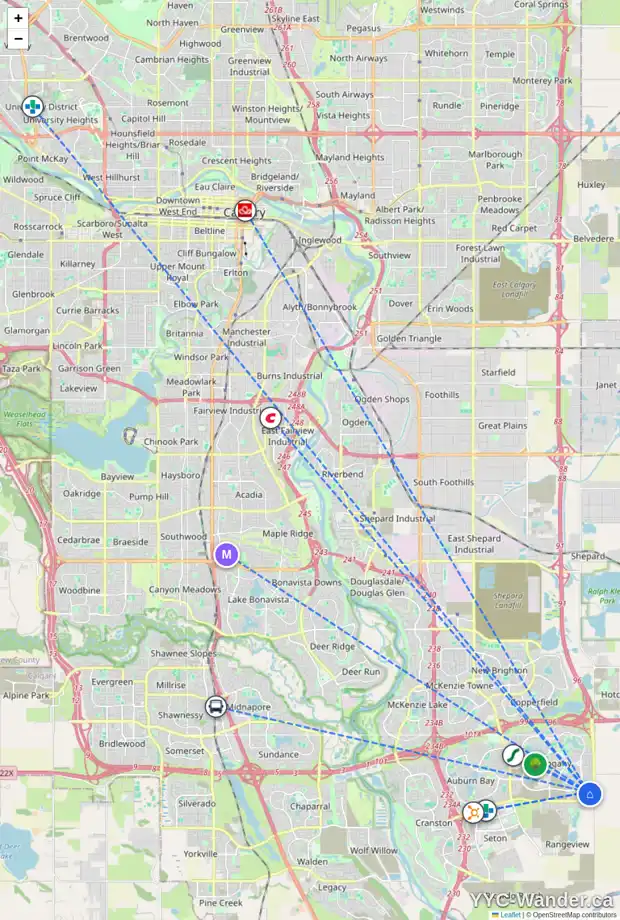 Daily accessibility map for 253 MAGNOLIA WY SE, Calgary showing nearby schools, grocery stores, parks, LRT stations and nearby amenities