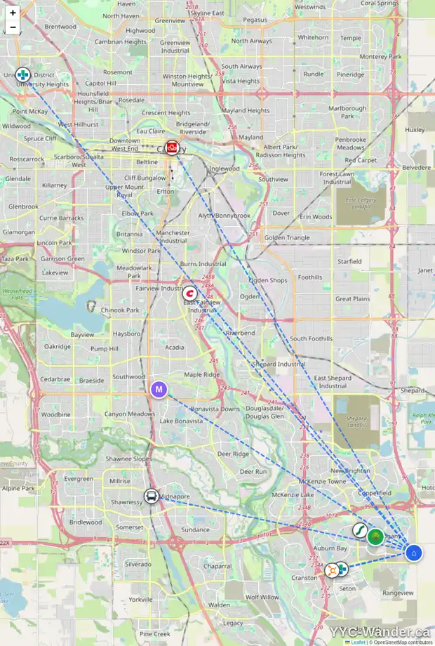 Daily accessibility map for 147 MAGNOLIA WY SE, Calgary showing nearby schools, grocery stores, parks, LRT stations and nearby amenities