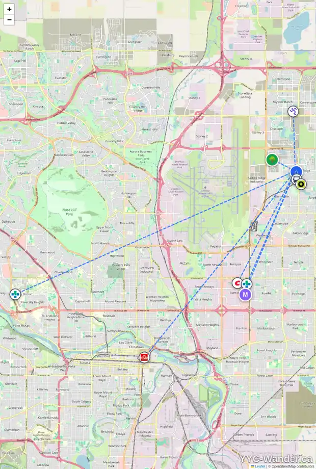 Daily accessibility map for 5974 SADDLEHORN DR NE, Calgary showing nearby schools, grocery stores, parks, LRT stations and nearby amenities
