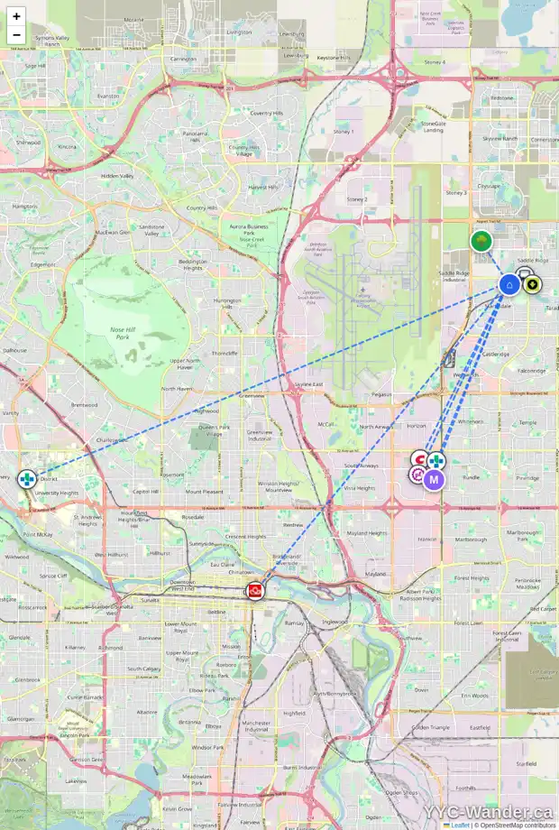 Daily accessibility map for 100 MARTINVALLEY CR NE, Calgary showing nearby schools, grocery stores, parks, LRT stations and nearby amenities