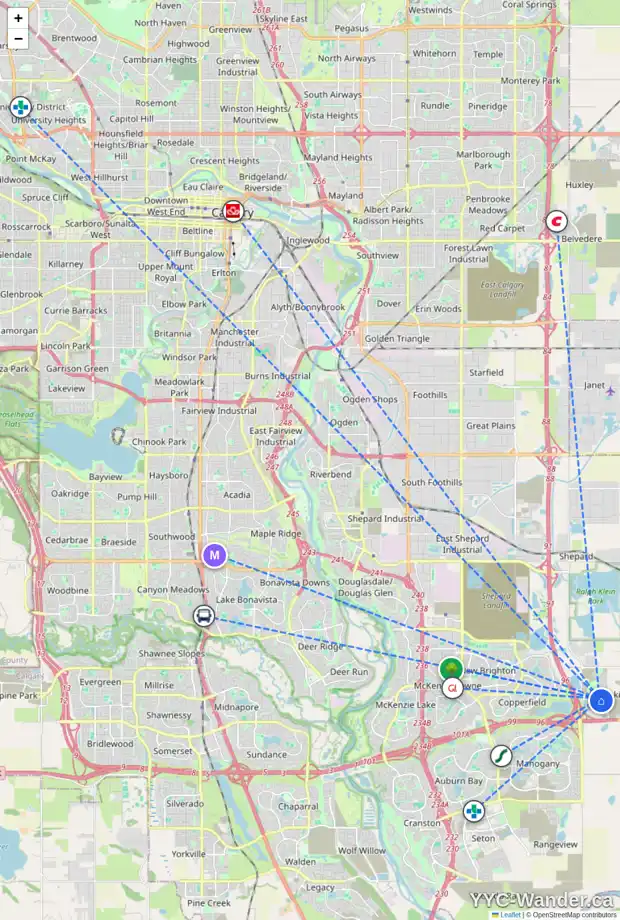Daily accessibility map for 313 HOTCHKISS CM SE, Calgary showing nearby schools, grocery stores, parks, LRT stations and nearby amenities