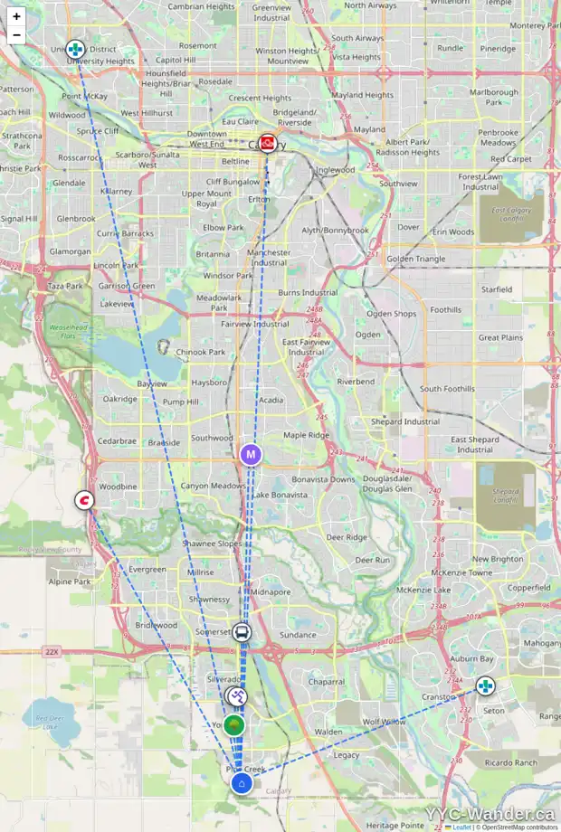 Daily accessibility map for 195 CREEKVIEW GD SW, Calgary showing nearby schools, grocery stores, parks, LRT stations and nearby amenities