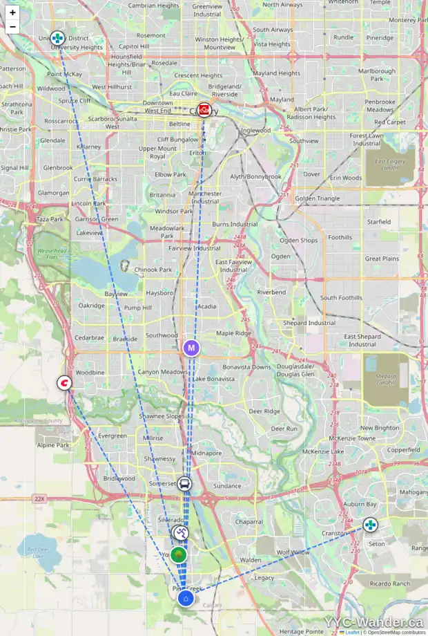 Daily accessibility map for 985 CREEKVIEW DR SW, Calgary showing nearby schools, grocery stores, parks, LRT stations and nearby amenities