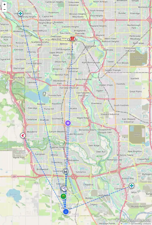 Daily accessibility map for 981 CREEKVIEW DR SW, Calgary showing nearby schools, grocery stores, parks, LRT stations and nearby amenities