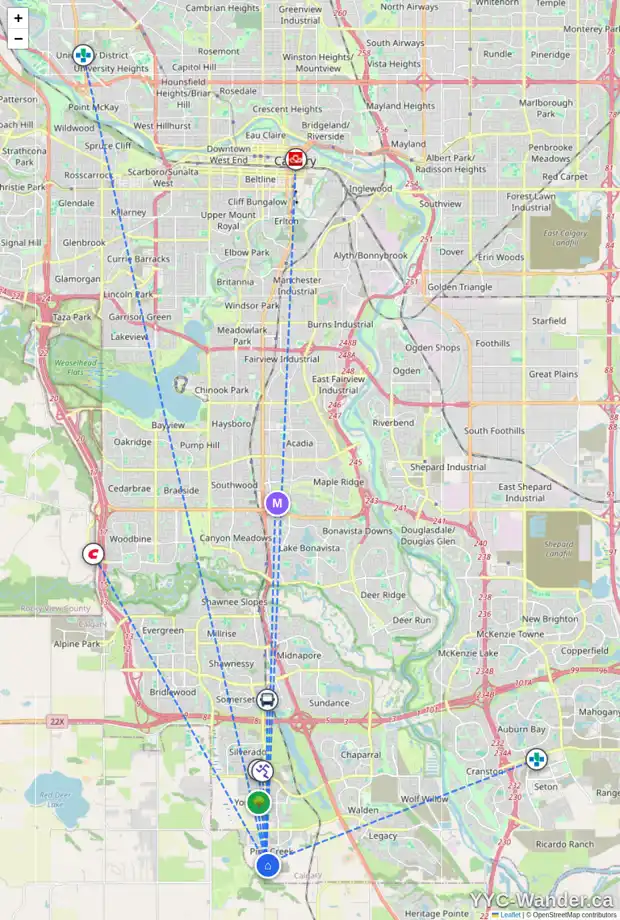 Daily accessibility map for 973 CREEKVIEW DR SW, Calgary showing nearby schools, grocery stores, parks, LRT stations and nearby amenities