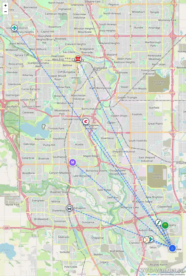 Daily accessibility map for 141 RAVEN LI SE, Calgary showing nearby schools, grocery stores, parks, LRT stations and nearby amenities