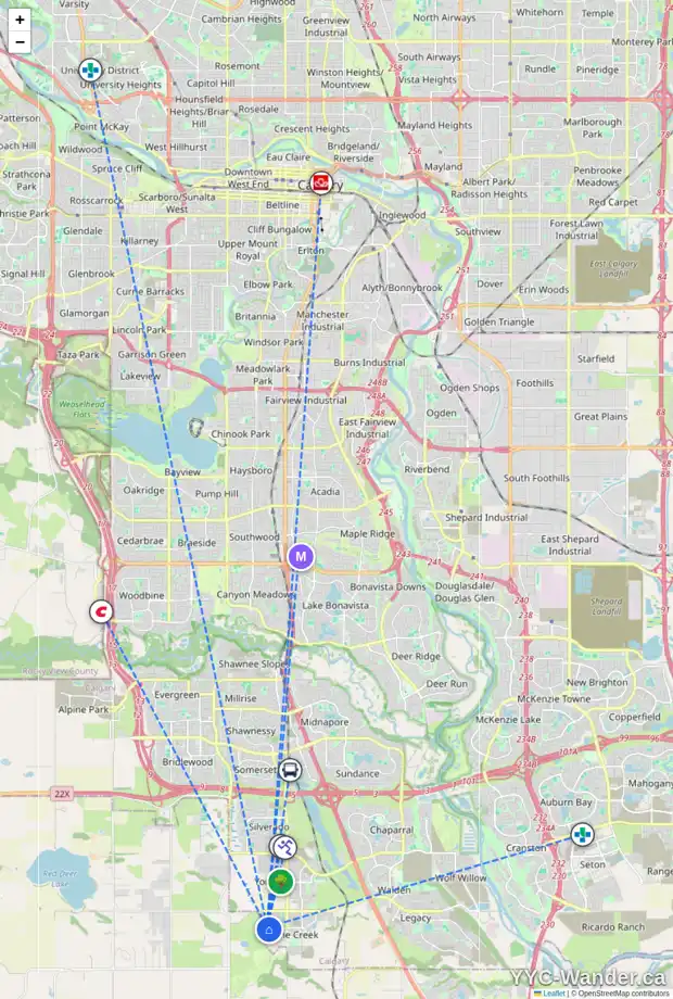 Daily accessibility map for 124 CREEKSIDE RI SW, Calgary showing nearby schools, grocery stores, parks, LRT stations and nearby amenities