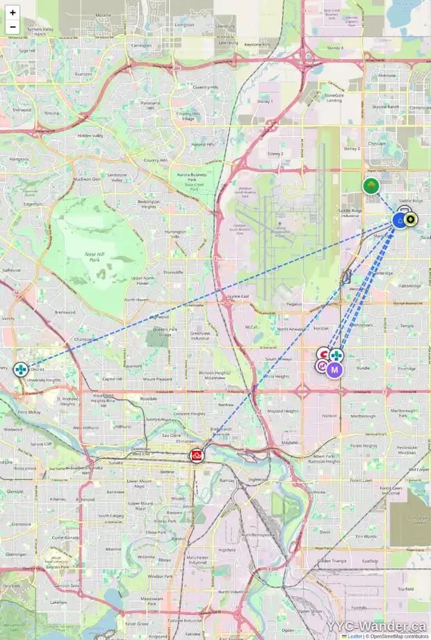Daily accessibility map for 125 MARTINVALLEY RD NE, Calgary showing nearby schools, grocery stores, parks, LRT stations and nearby amenities