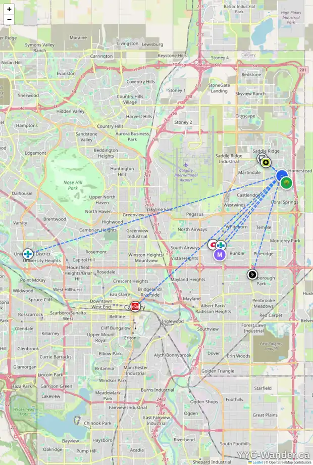 Daily accessibility map for 294 TARAVISTA ST NE, Calgary showing nearby schools, grocery stores, parks, LRT stations and nearby amenities