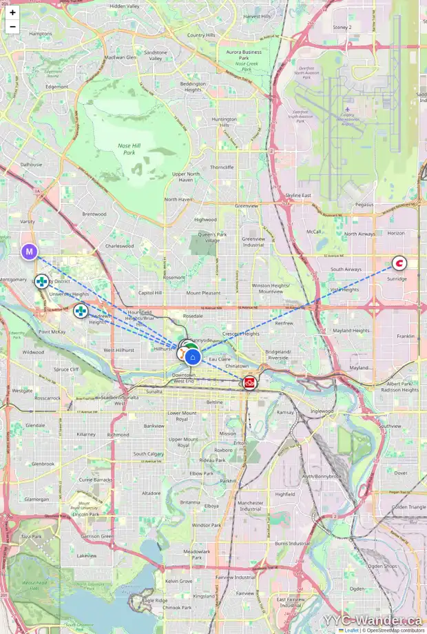Daily accessibility map for 1021 1 AV NW, Calgary showing nearby schools, grocery stores, parks, LRT stations and nearby amenities