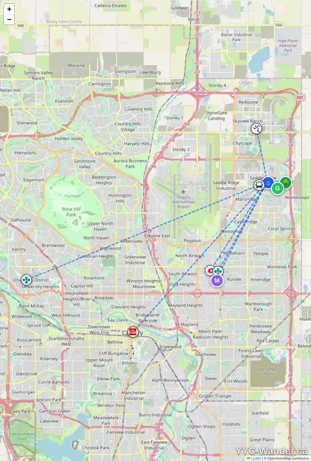 Daily accessibility map for 123 SADDLEMONT WY NE, Calgary showing nearby schools, grocery stores, parks, LRT stations and nearby amenities