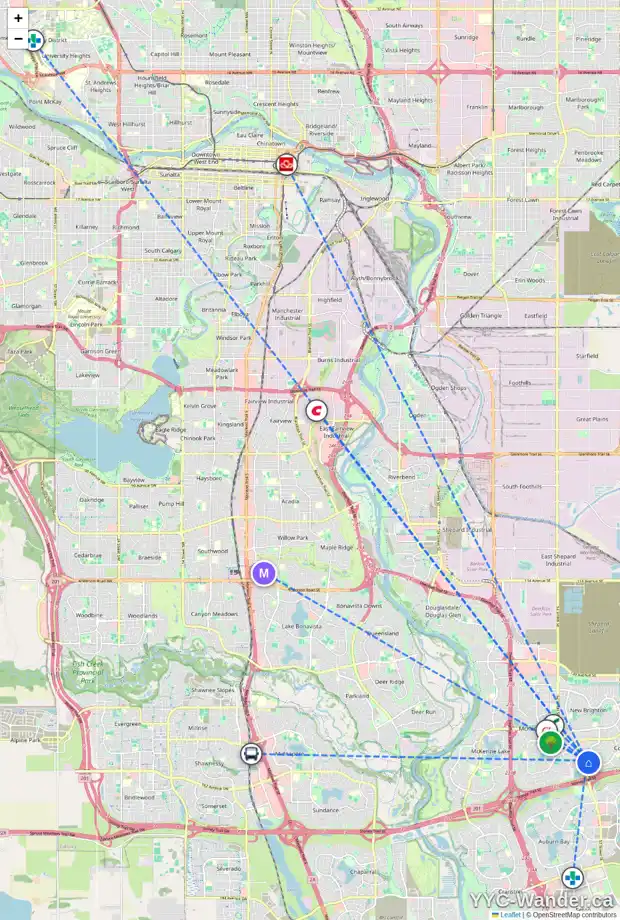 Daily accessibility map for 246 COPPERFIELD GD SE, Calgary showing nearby schools, grocery stores, parks, LRT stations and nearby amenities