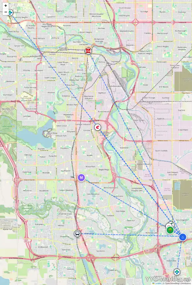 Daily accessibility map for 376 COPPERFIELD GD SE, Calgary showing nearby schools, grocery stores, parks, LRT stations and nearby amenities
