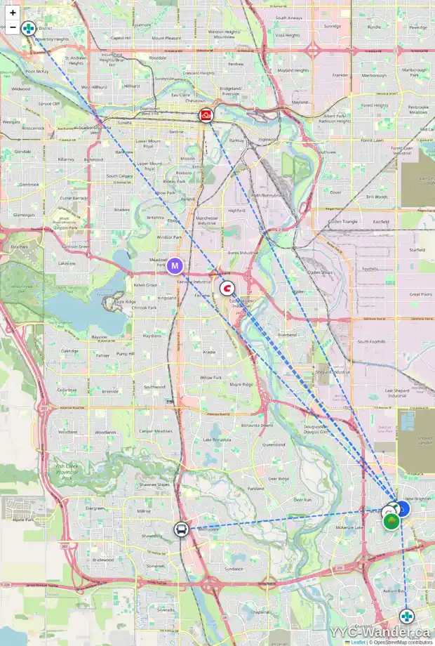 Daily accessibility map for 143 NEW BRIGHTON ME SE, Calgary showing nearby schools, grocery stores, parks, LRT stations and nearby amenities