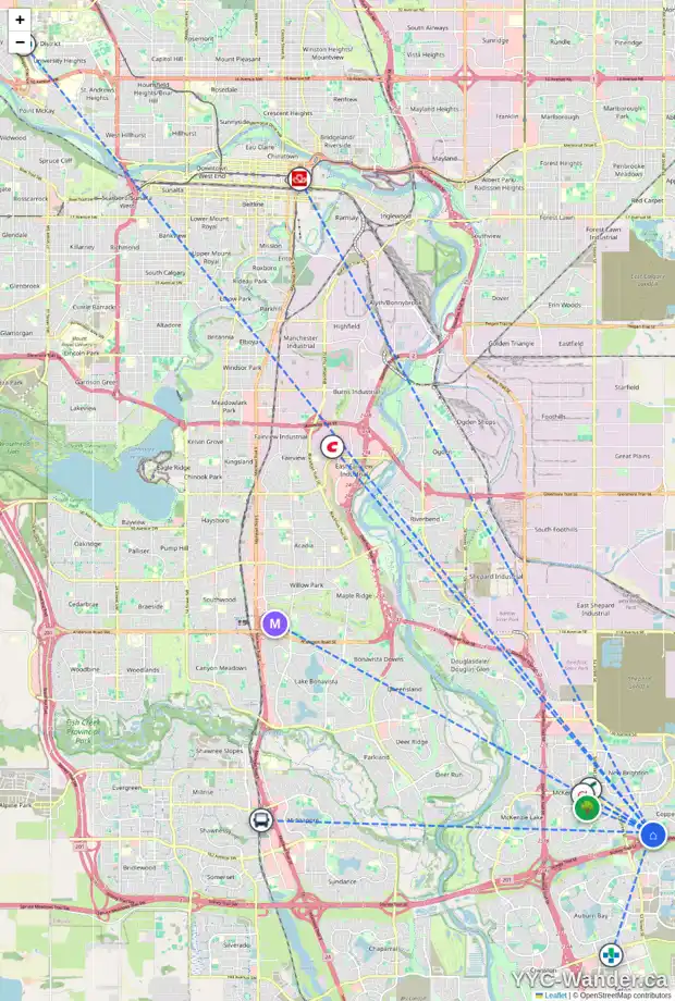 Daily accessibility map for 129 COPPERFIELD GV SE, Calgary showing nearby schools, grocery stores, parks, LRT stations and nearby amenities