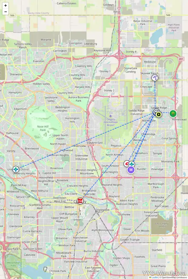 Daily accessibility map for 129 SADDLECREEK TC NE, Calgary showing nearby schools, grocery stores, parks, LRT stations and nearby amenities