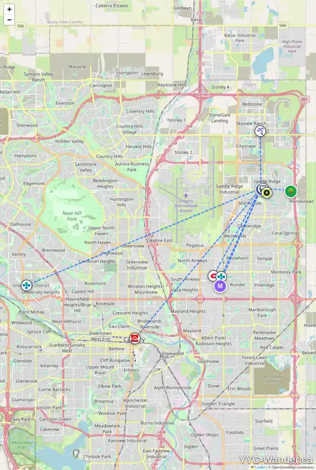 Daily accessibility map for 147 SADDLECREEK TC NE, Calgary showing nearby schools, grocery stores, parks, LRT stations and nearby amenities
