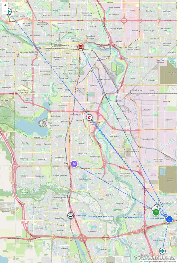 Daily accessibility map for 202 COPPERFIELD ME SE, Calgary showing nearby schools, grocery stores, parks, LRT stations and nearby amenities