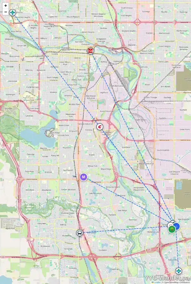 Daily accessibility map for 102 NEW BRIGHTON MR SE, Calgary showing nearby schools, grocery stores, parks, LRT stations and nearby amenities