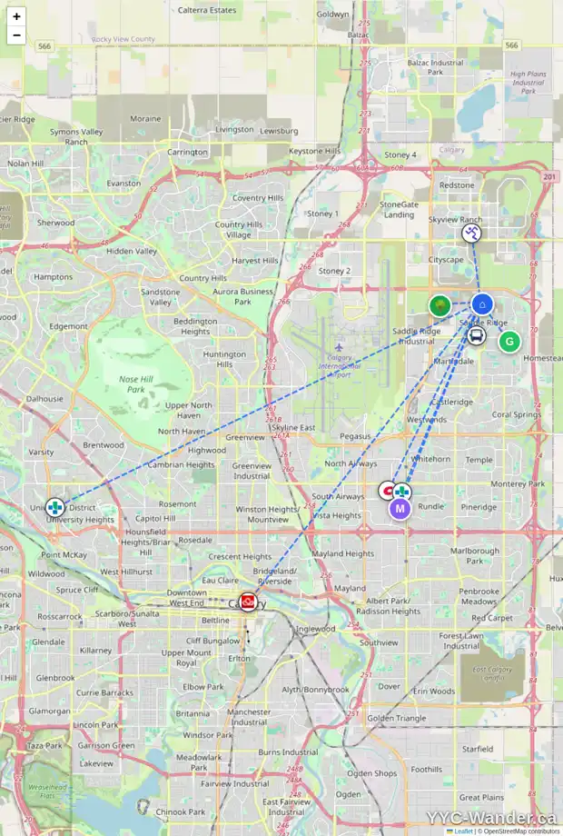Daily accessibility map for 101 SADDLECREST PL NE, Calgary showing nearby schools, grocery stores, parks, LRT stations and nearby amenities