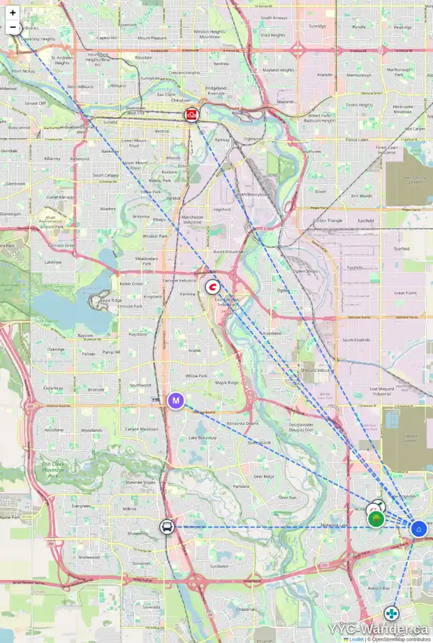 Daily accessibility map for 224 COPPERFIELD MR SE, Calgary showing nearby schools, grocery stores, parks, LRT stations and nearby amenities