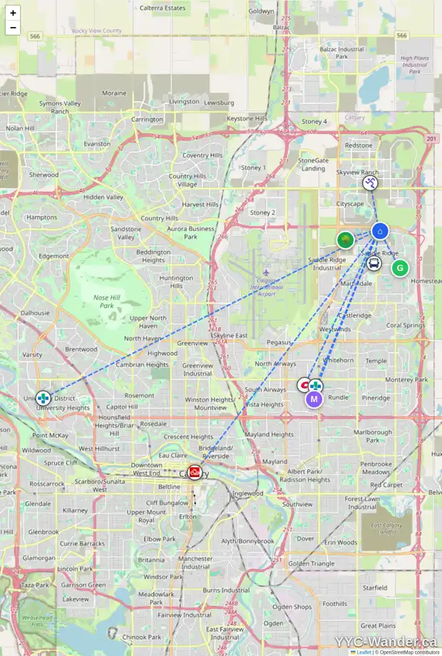 Daily accessibility map for 161 SADDLECREST WY NE, Calgary showing nearby schools, grocery stores, parks, LRT stations and nearby amenities