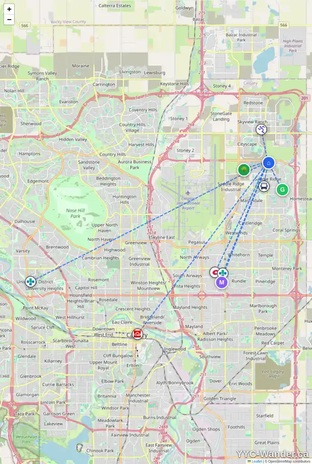 Daily accessibility map for 173 SADDLECREST WY NE, Calgary showing nearby schools, grocery stores, parks, LRT stations and nearby amenities