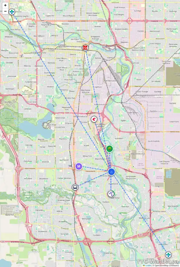 Daily accessibility map for 216 DIAMOND PT SE, Calgary showing nearby schools, grocery stores, parks, LRT stations and nearby amenities