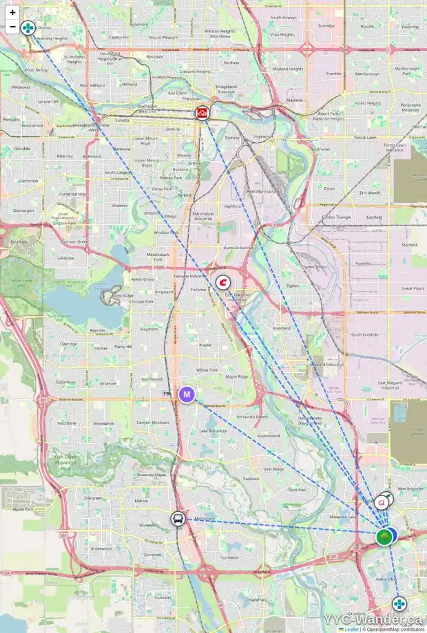 Daily accessibility map for 4580 ELGIN AV SE, Calgary showing nearby schools, grocery stores, parks, LRT stations and nearby amenities
