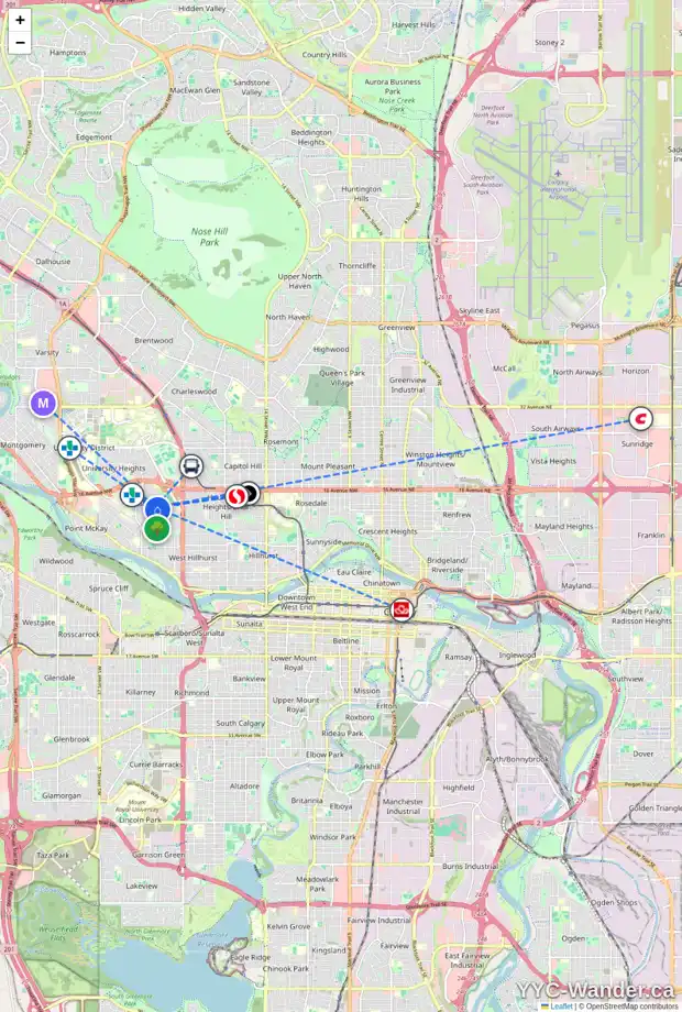 Daily accessibility map for 2816 13 AV NW, Calgary showing nearby schools, grocery stores, parks, LRT stations and nearby amenities