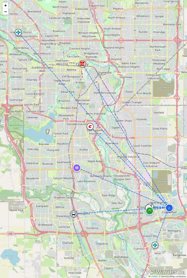Daily accessibility map for 13 COPPERSTONE PL SE, Calgary showing nearby schools, grocery stores, parks, LRT stations and nearby amenities