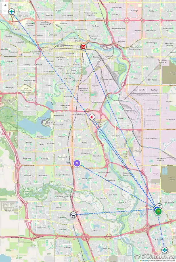 Daily accessibility map for 221 MCKENZIE TOWNE LN SE, Calgary showing nearby schools, grocery stores, parks, LRT stations and nearby amenities