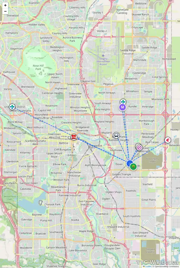 Daily accessibility map for 107 ERIN MOUNT CR SE, Calgary showing nearby schools, grocery stores, parks, LRT stations and nearby amenities