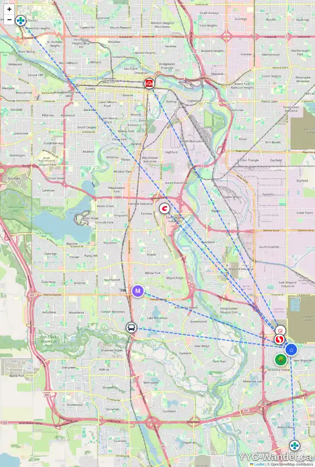 Daily accessibility map for 247 NEW BRIGHTON LD SE, Calgary showing nearby schools, grocery stores, parks, LRT stations and nearby amenities