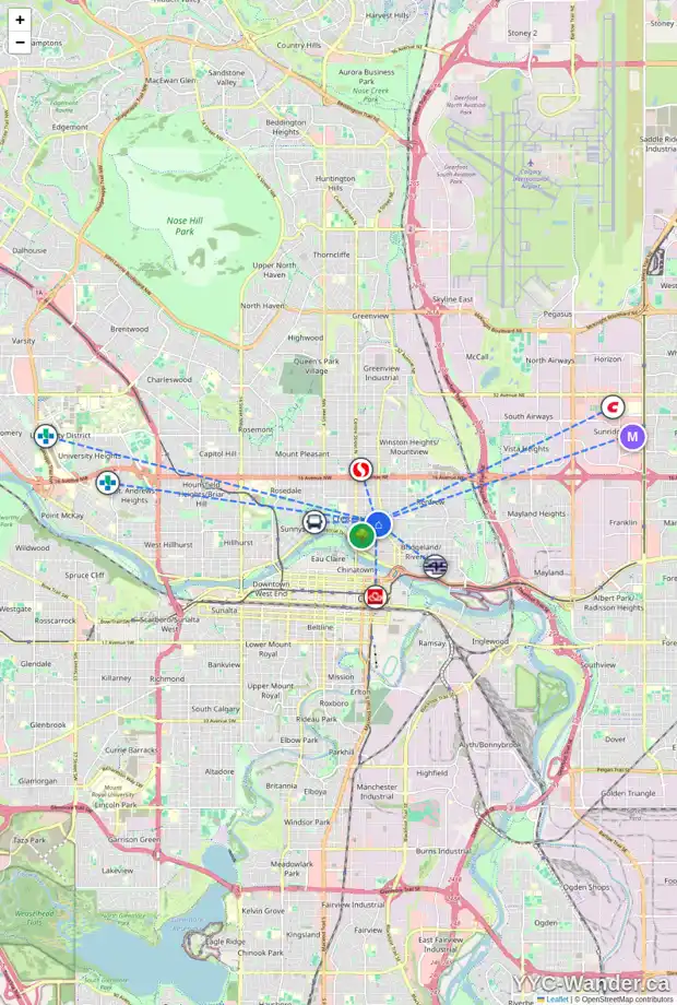 Daily accessibility map for 314 7 AV NE, Calgary showing nearby schools, grocery stores, parks, LRT stations and nearby amenities