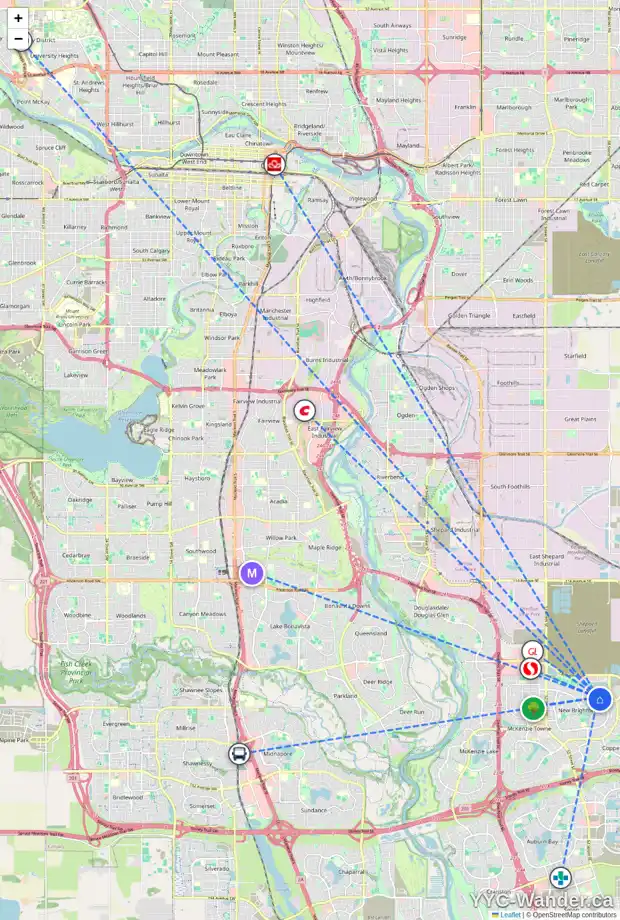 Daily accessibility map for 783 NEW BRIGHTON DR SE, Calgary showing nearby schools, grocery stores, parks, LRT stations and nearby amenities