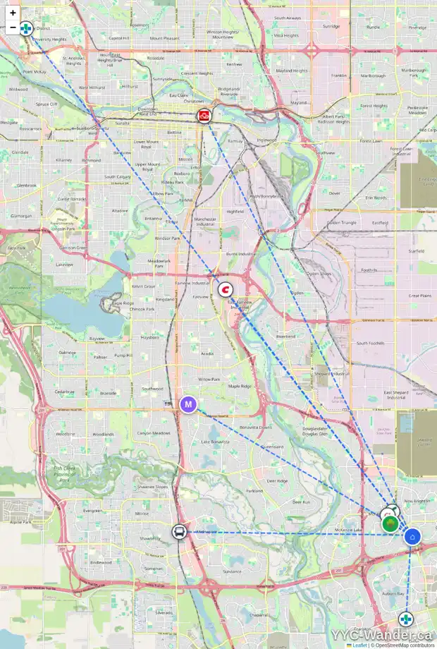 Daily accessibility map for 229 ELGIN MEADOWS PA SE, Calgary showing nearby schools, grocery stores, parks, LRT stations and nearby amenities