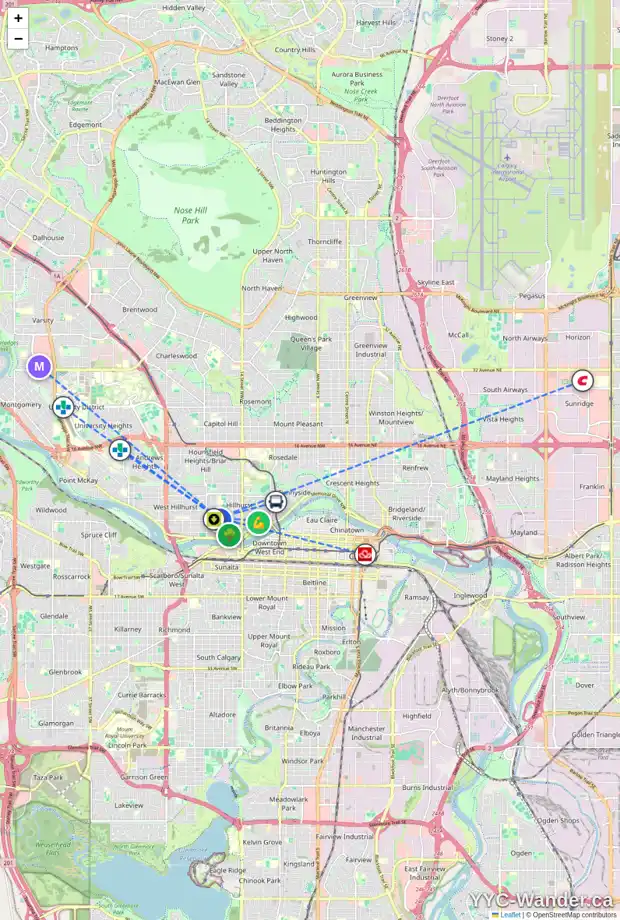 Daily accessibility map for 110 18 ST NW, Calgary showing nearby schools, grocery stores, parks, LRT stations and nearby amenities
