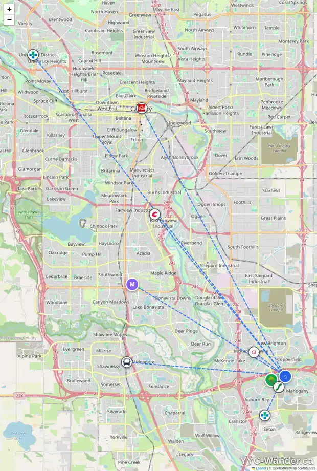 Daily accessibility map for 382 MAHOGANY TC SE, Calgary showing nearby schools, grocery stores, parks, LRT stations and nearby amenities