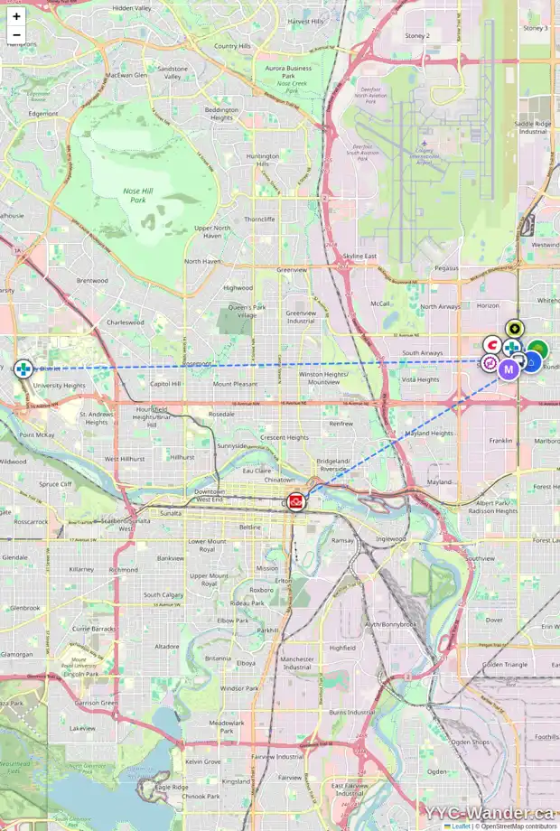 Daily accessibility map for 2612 38 ST NE, Calgary showing nearby schools, grocery stores, parks, LRT stations and nearby amenities