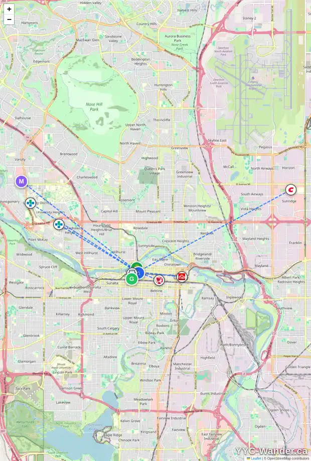 Daily accessibility map for 605 9 ST SW, Calgary showing nearby schools, grocery stores, parks, LRT stations and nearby amenities