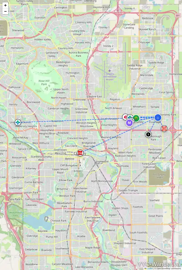 Daily accessibility map for 173 PINEMEADOW RD NE, Calgary showing nearby schools, grocery stores, parks, LRT stations and nearby amenities