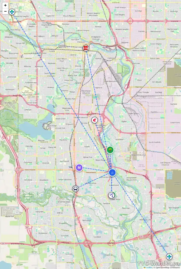 Daily accessibility map for 204 DIAMOND PT SE, Calgary showing nearby schools, grocery stores, parks, LRT stations and nearby amenities