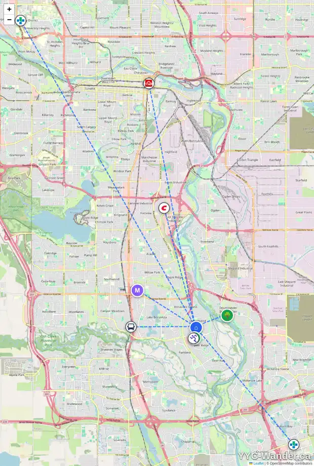 Daily accessibility map for 423 QUEEN CHARLOTTE RD SE, Calgary showing nearby schools, grocery stores, parks, LRT stations and nearby amenities