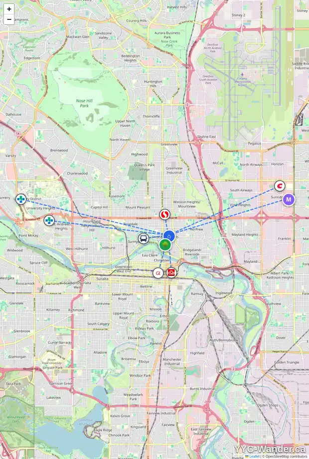 Daily accessibility map for 215 9 AV NE, Calgary showing nearby schools, grocery stores, parks, LRT stations and nearby amenities